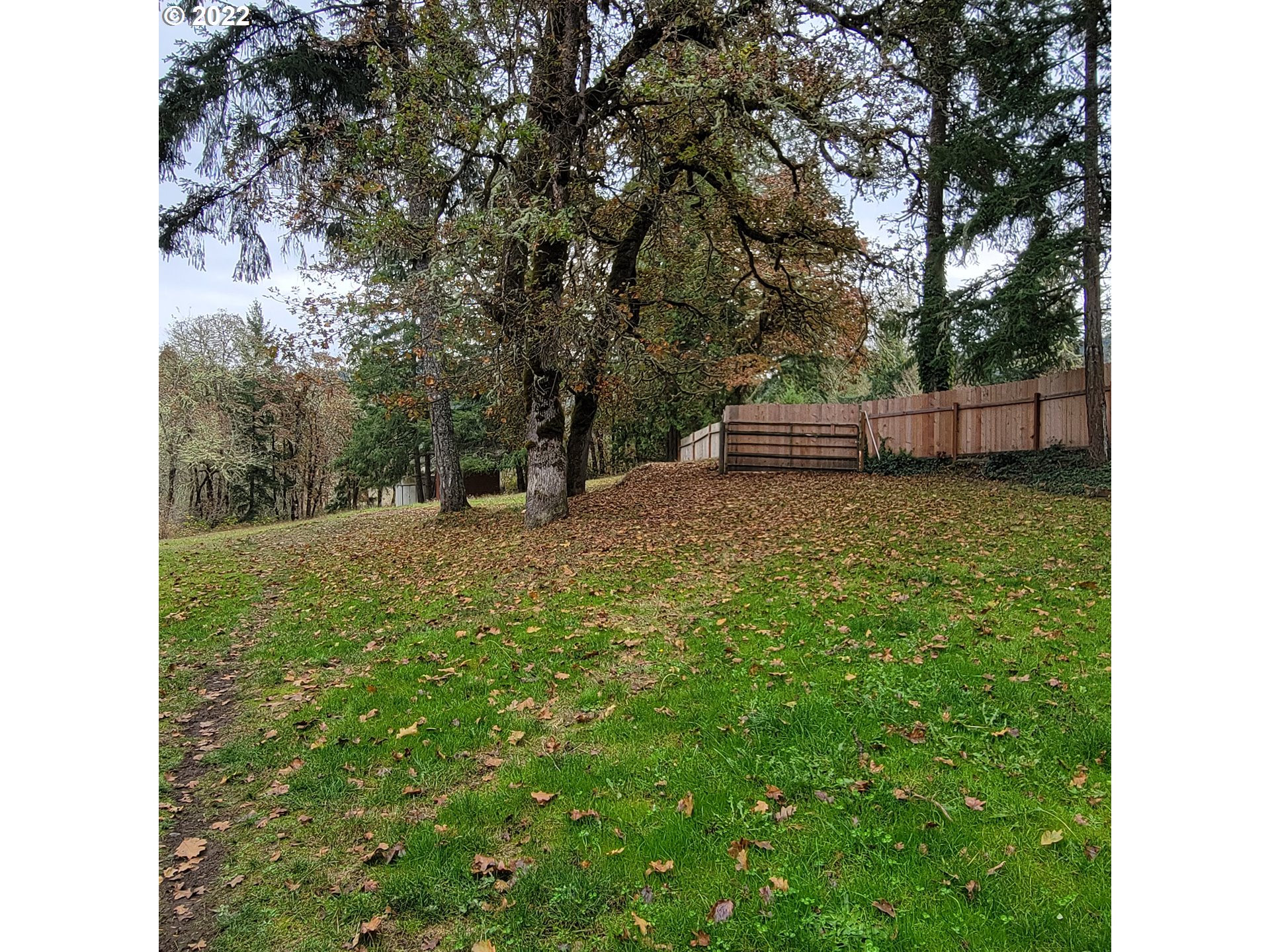 85580 Doane Road Eugene, OR 97402 - Photo 23 of 31 Gallery Image 23