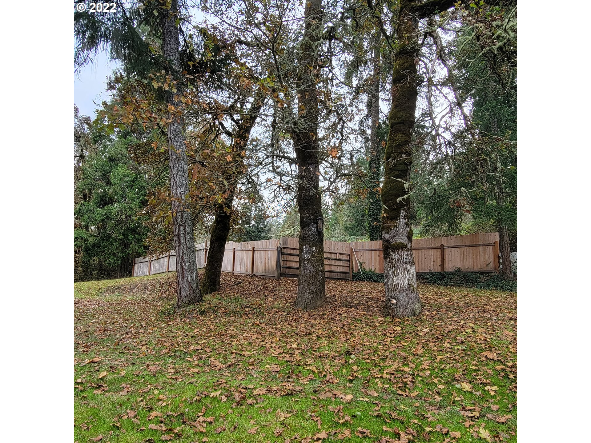 85580 Doane Road Eugene, OR 97402 - Photo 24 of 31 Gallery Image 24