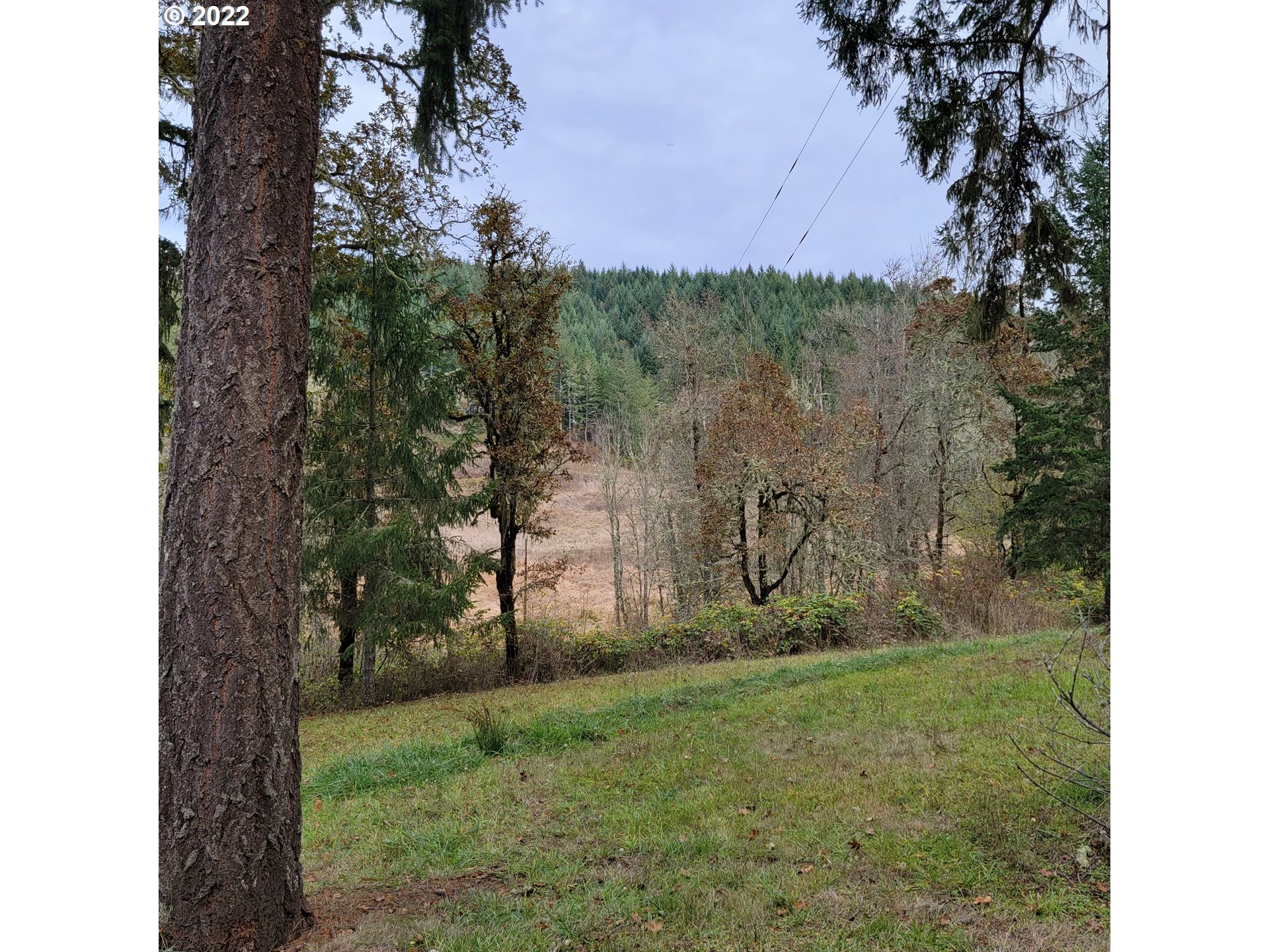 85580 Doane Road Eugene, OR 97402 - Photo 25 of 31 Gallery Image 25