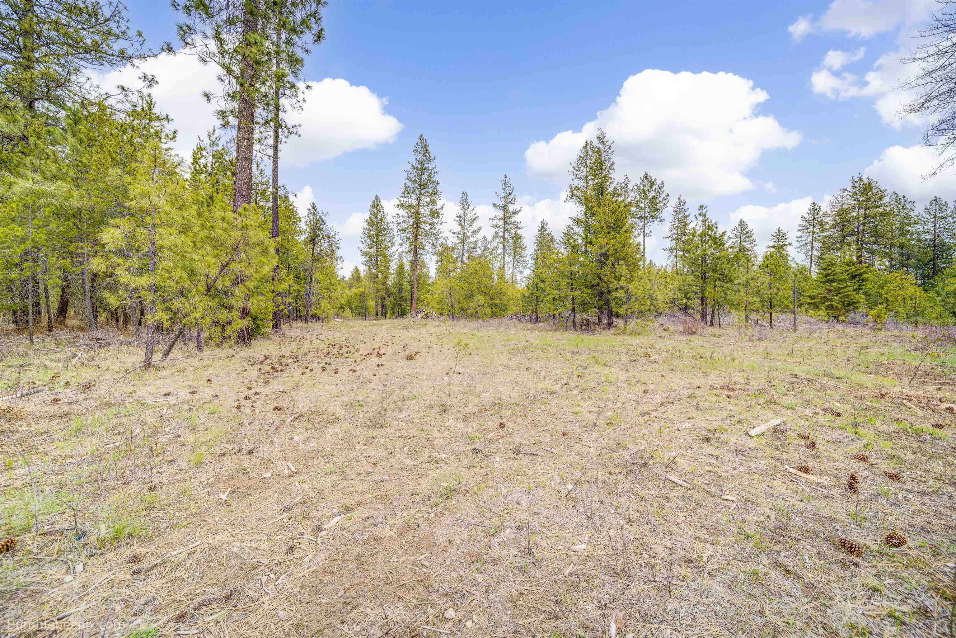8505 East Valley Road Elk, WA 99009 - Photo 29 of 38