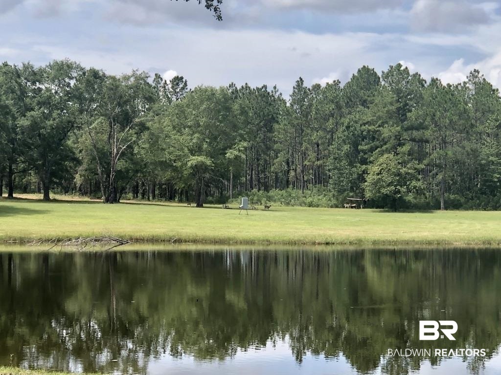 0 Bud Odom Road Deer Park, AL 36529 - Photo 2 of 50