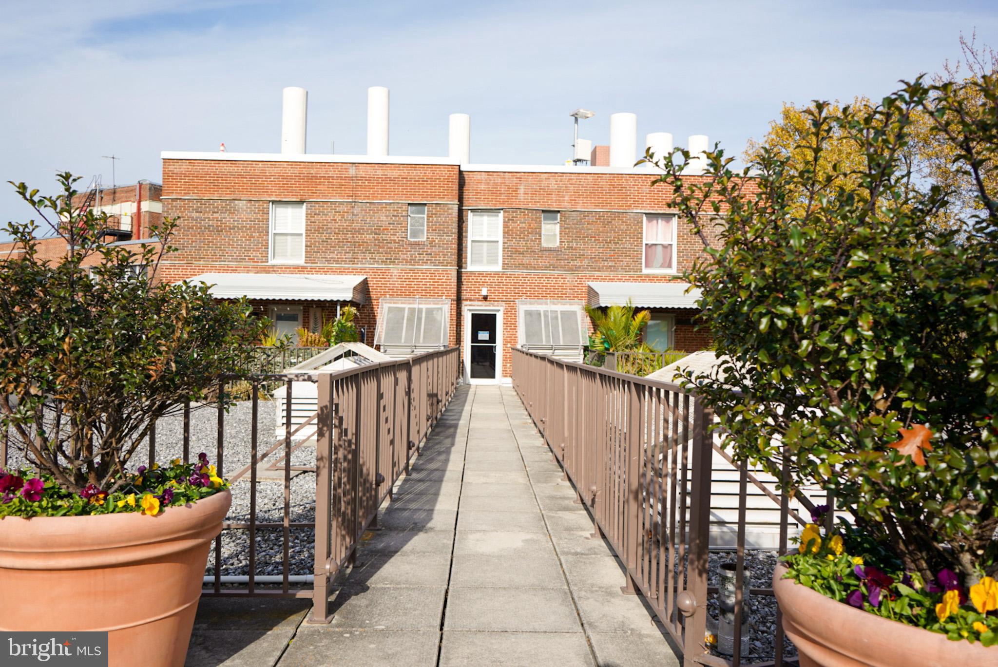 2500 Q Street Northwest, Unit 327 Washington, DC 20007 - Photo 21 of 25 Roof Patio