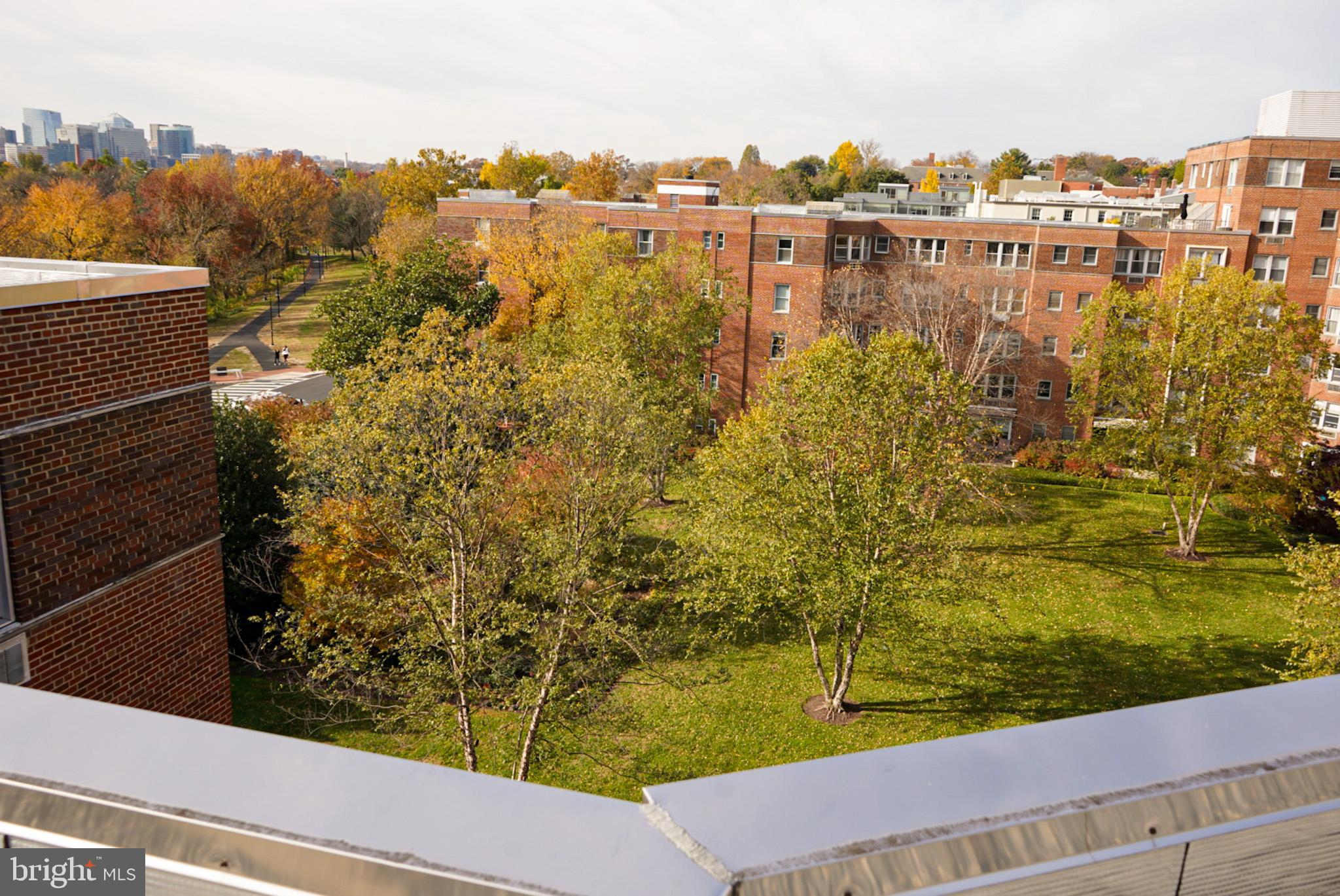 2500 Q Street Northwest, Unit 327 Washington, DC 20007 - Photo 22 of 25 Roof Patio View