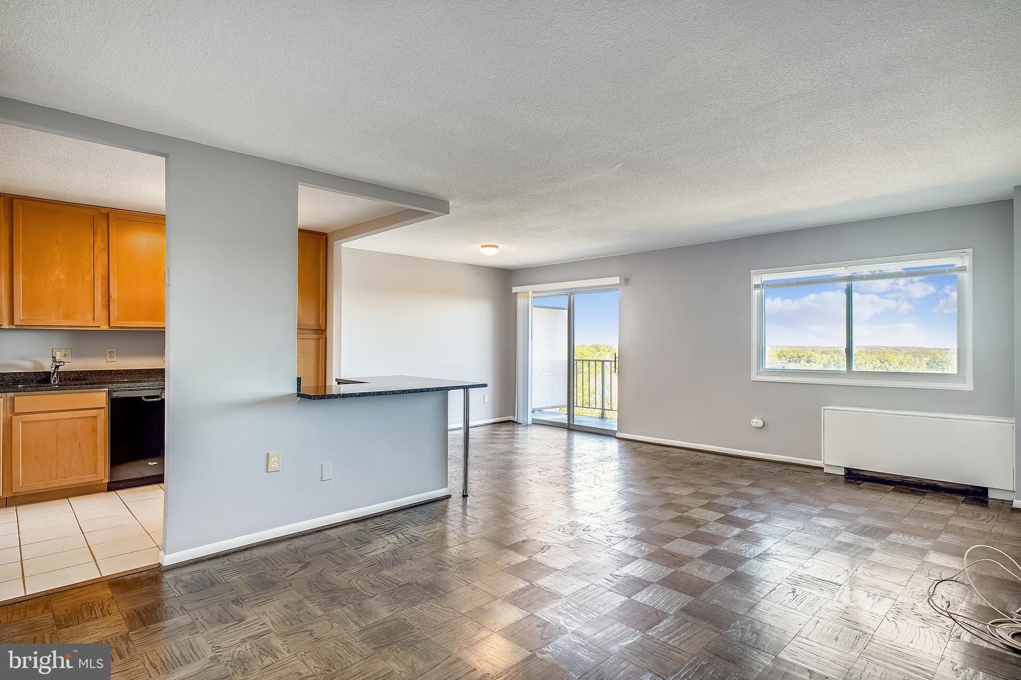 1121 University Silver Spring, Unit 1217B Silver Spring, MD 20902 - Photo 4 of 69