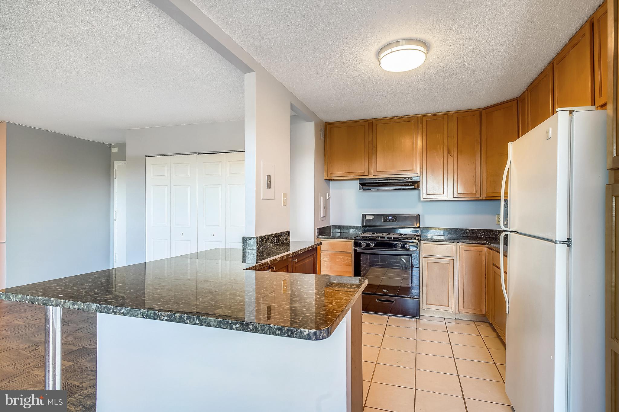 1121 University Silver Spring, Unit 1217B Silver Spring, MD 20902 - Photo 6 of 69
