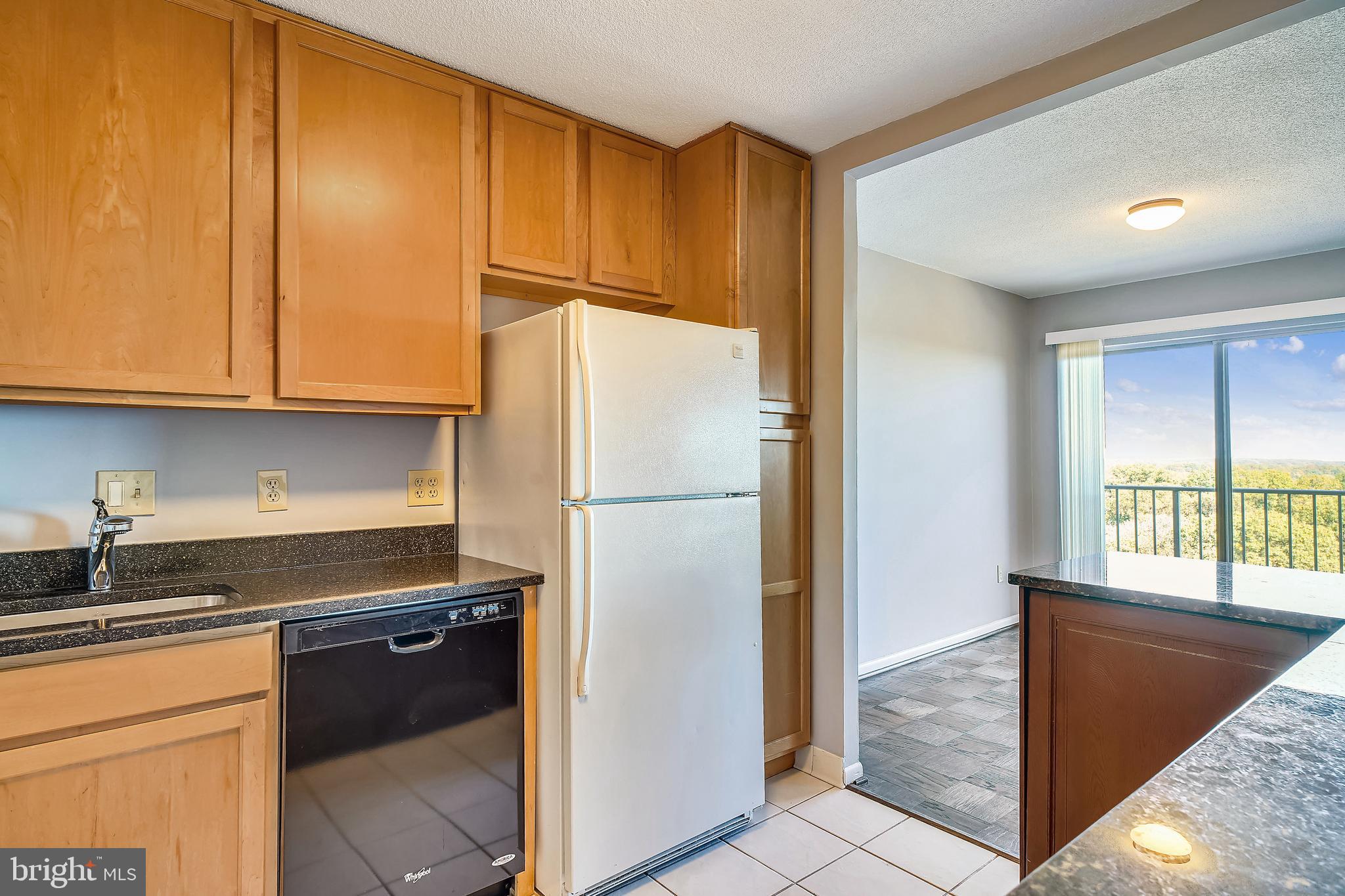 1121 University Silver Spring, Unit 1217B Silver Spring, MD 20902 - Photo 8 of 69