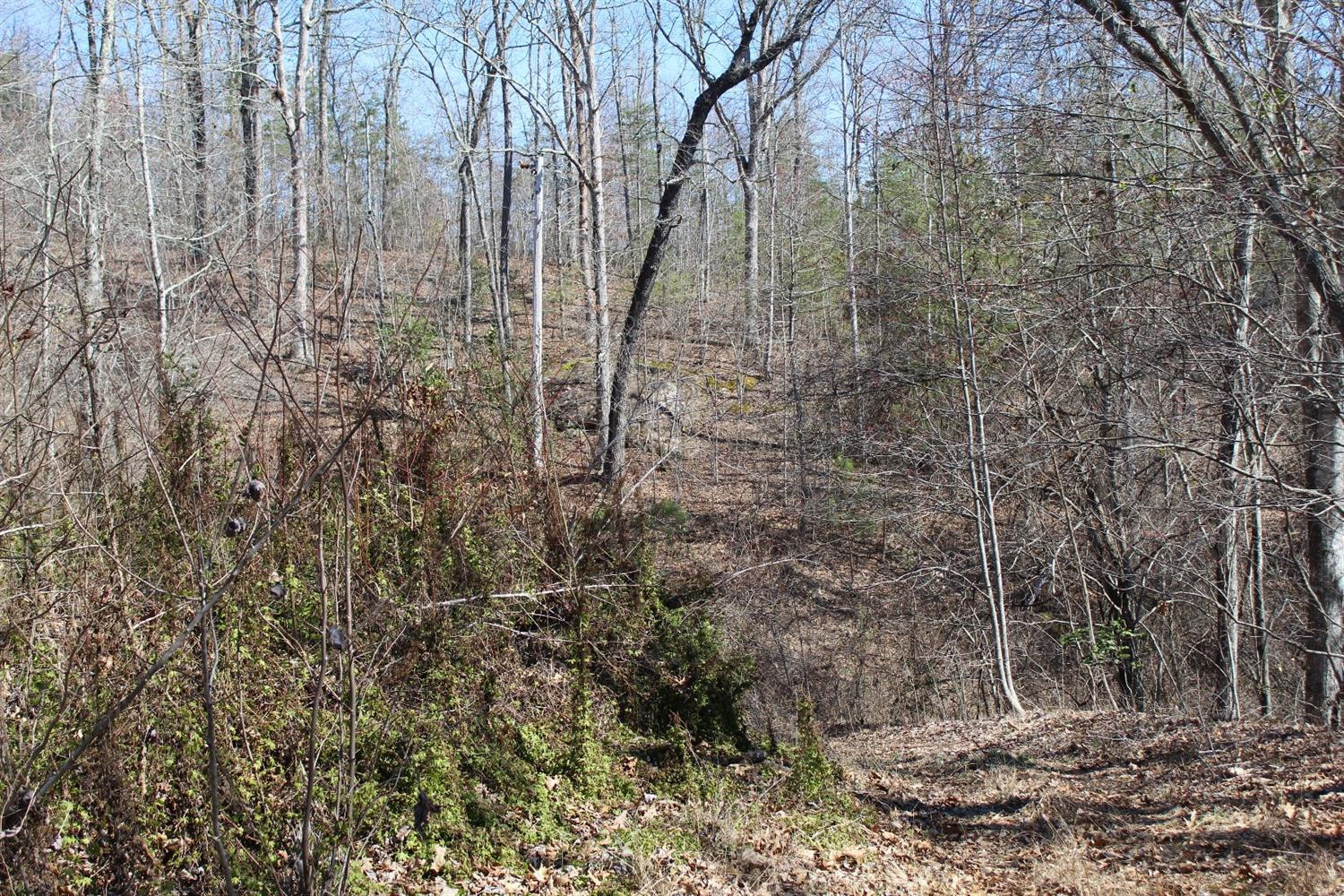 9999 Oak Ridge Church Road Williamsburg, KY 40769 - Photo 18 of 26 Photo 18