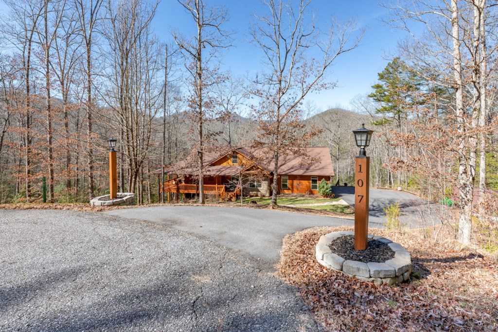 107 Flower Ridge Blairsville, GA 30512 - Photo 2 of 4 Gallery Image 2