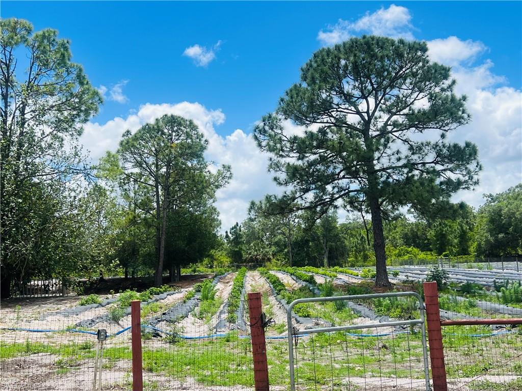 155 Evans Road LaBelle, FL 33935 - Photo 19 of 25