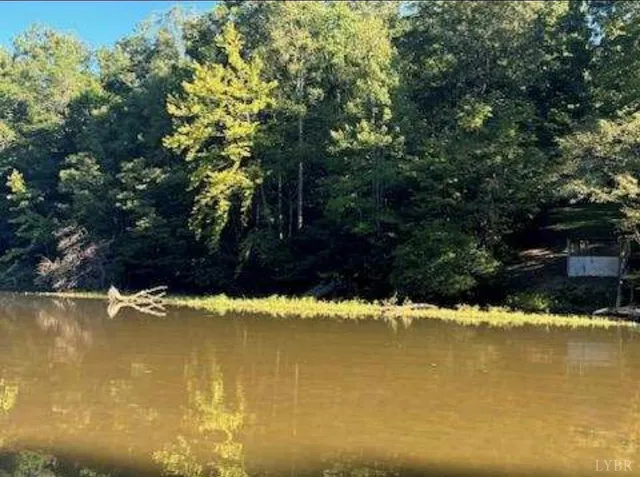 a view of ocean with trees