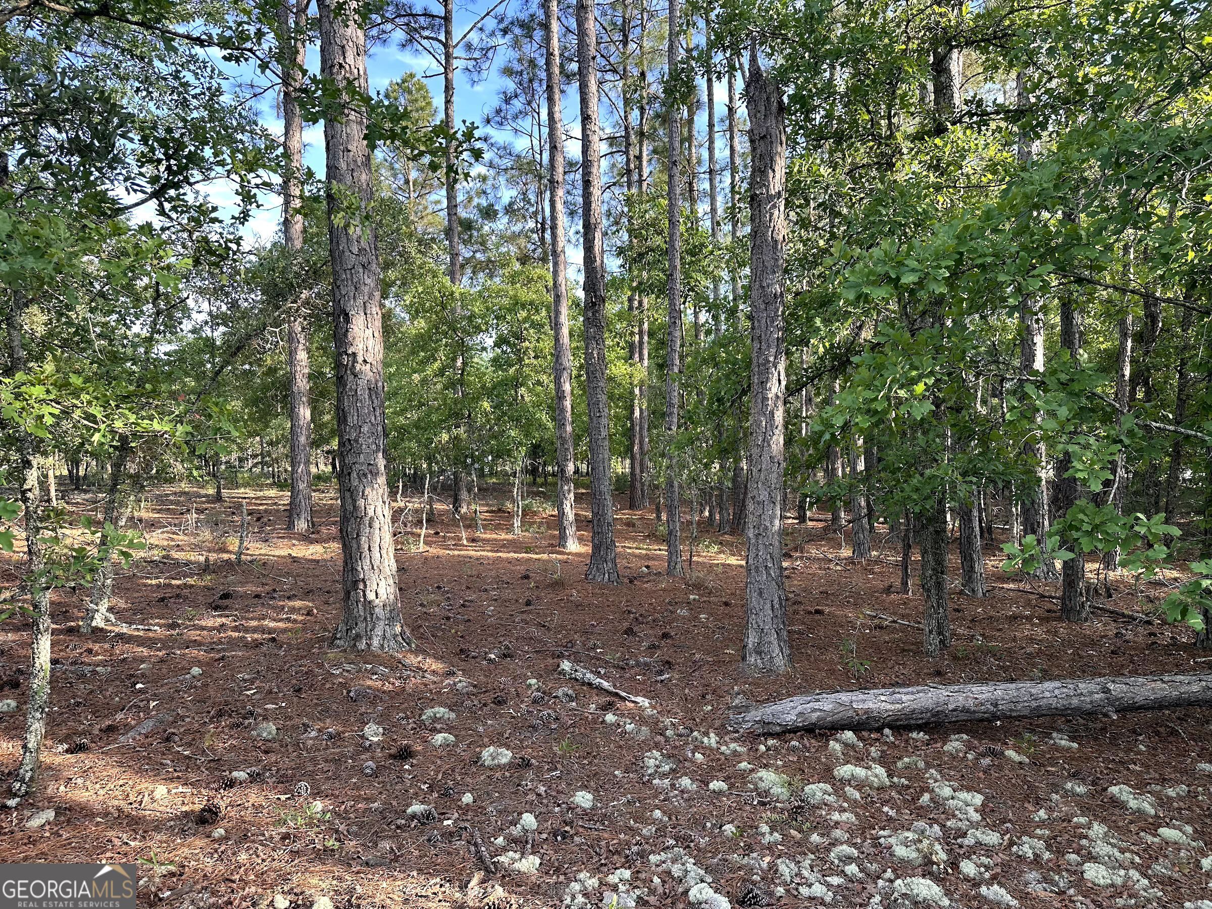 3570 William Dennis Road McRae-Helena, GA 31037 - Photo 16 of 23