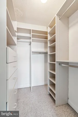 a view of an empty walk in closet