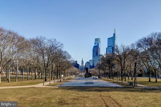 a view of a yard with palm trees