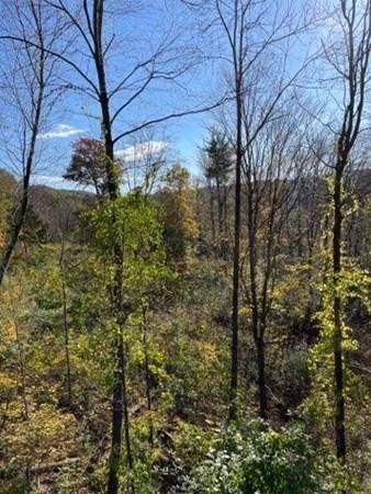 0 Carrington Road Huntington, MA 01050 - Photo 4 of 11