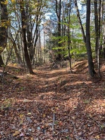 0 Carrington Road Huntington, MA 01050 - Photo 10 of 11