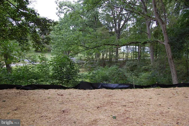 a view of a backyard of a house