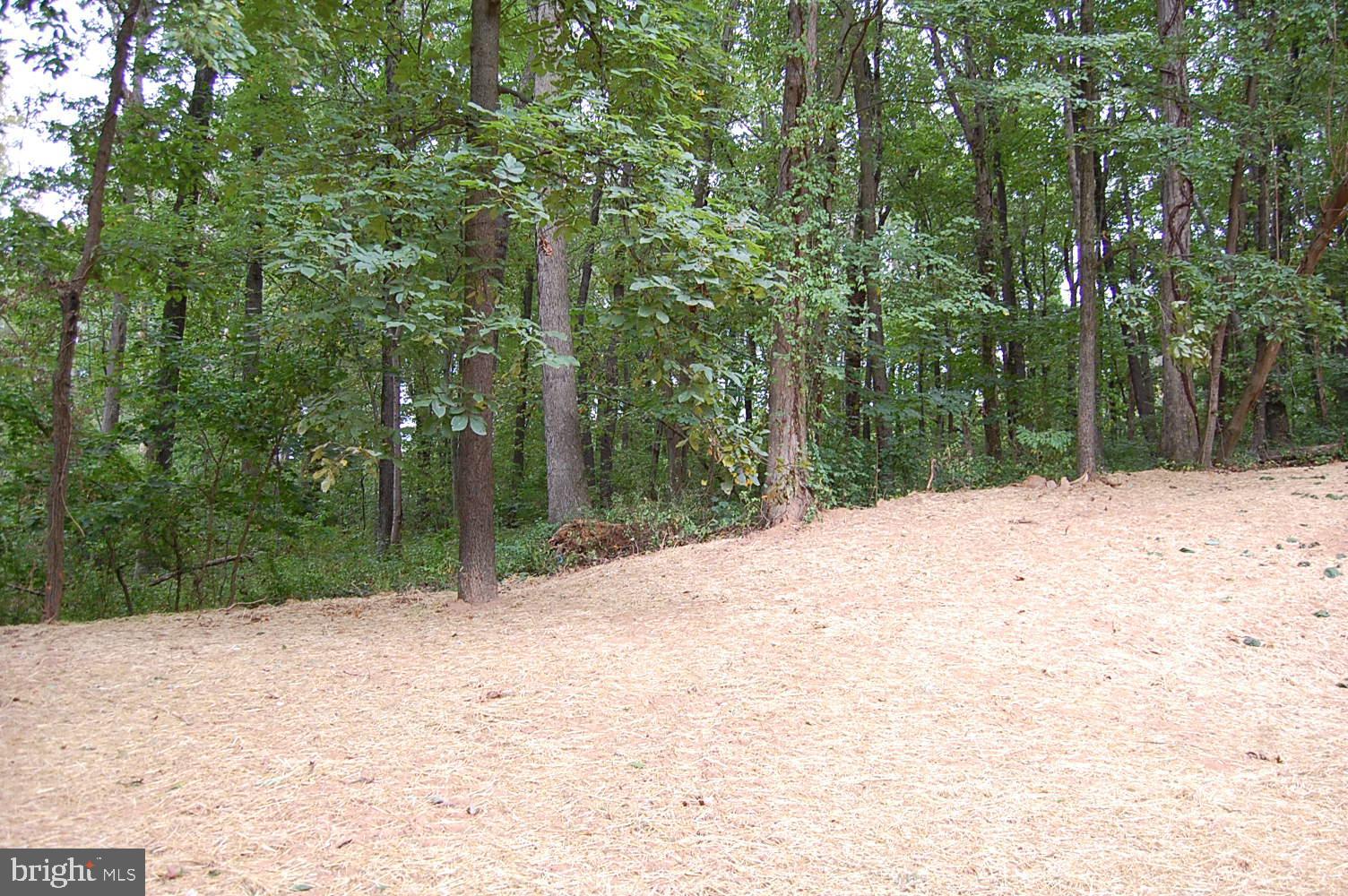 1940 Nelson Mill Road Jarrettsville, MD 21084 - Photo 8 of 8 a view of a backyard of a house