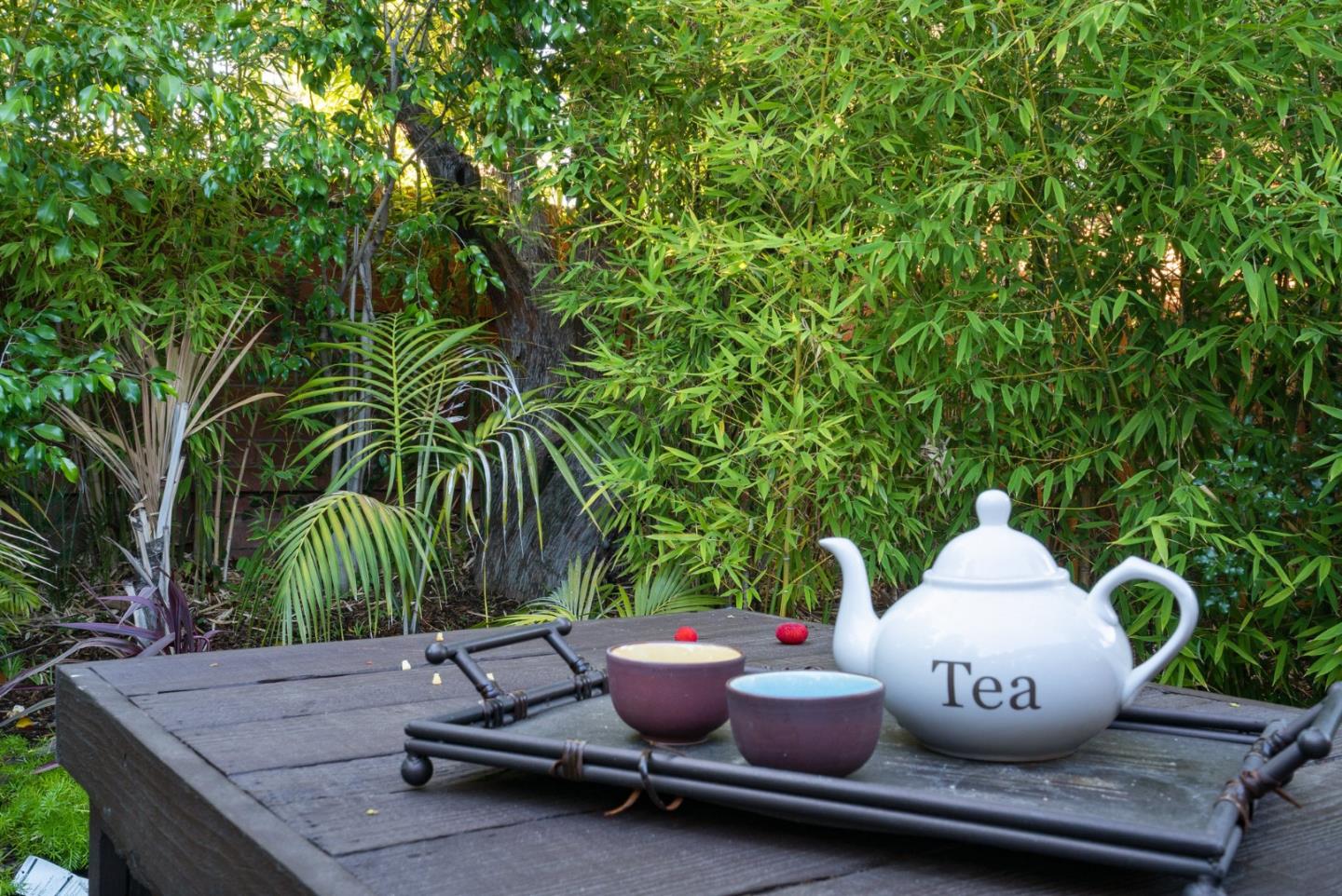 777 Rustic Lane Mountain View, CA 94040 - Photo 40 of 44 a roof deck with couch and potted plants