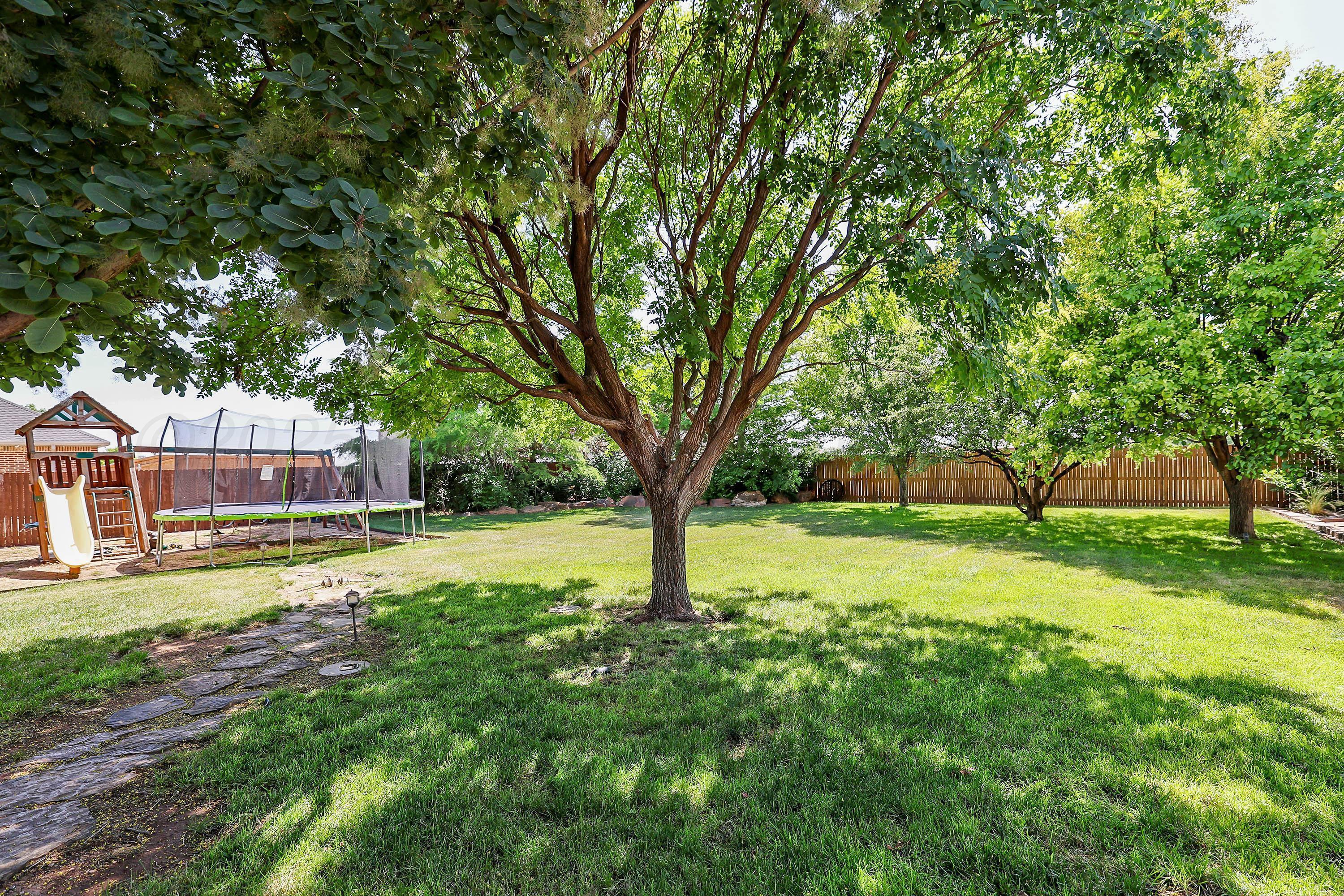 9220 Greyhawk Road Amarillo, TX 79119 - Photo 41 of 50 a view of a big yard with large trees