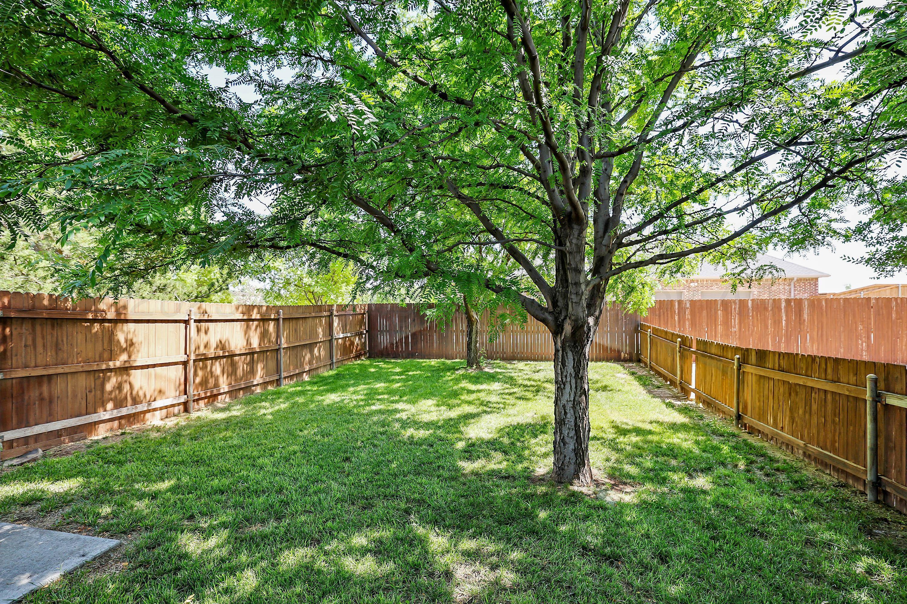 9220 Greyhawk Road Amarillo, TX 79119 - Photo 45 of 50 a view of backyard with wooden fence and a large tree