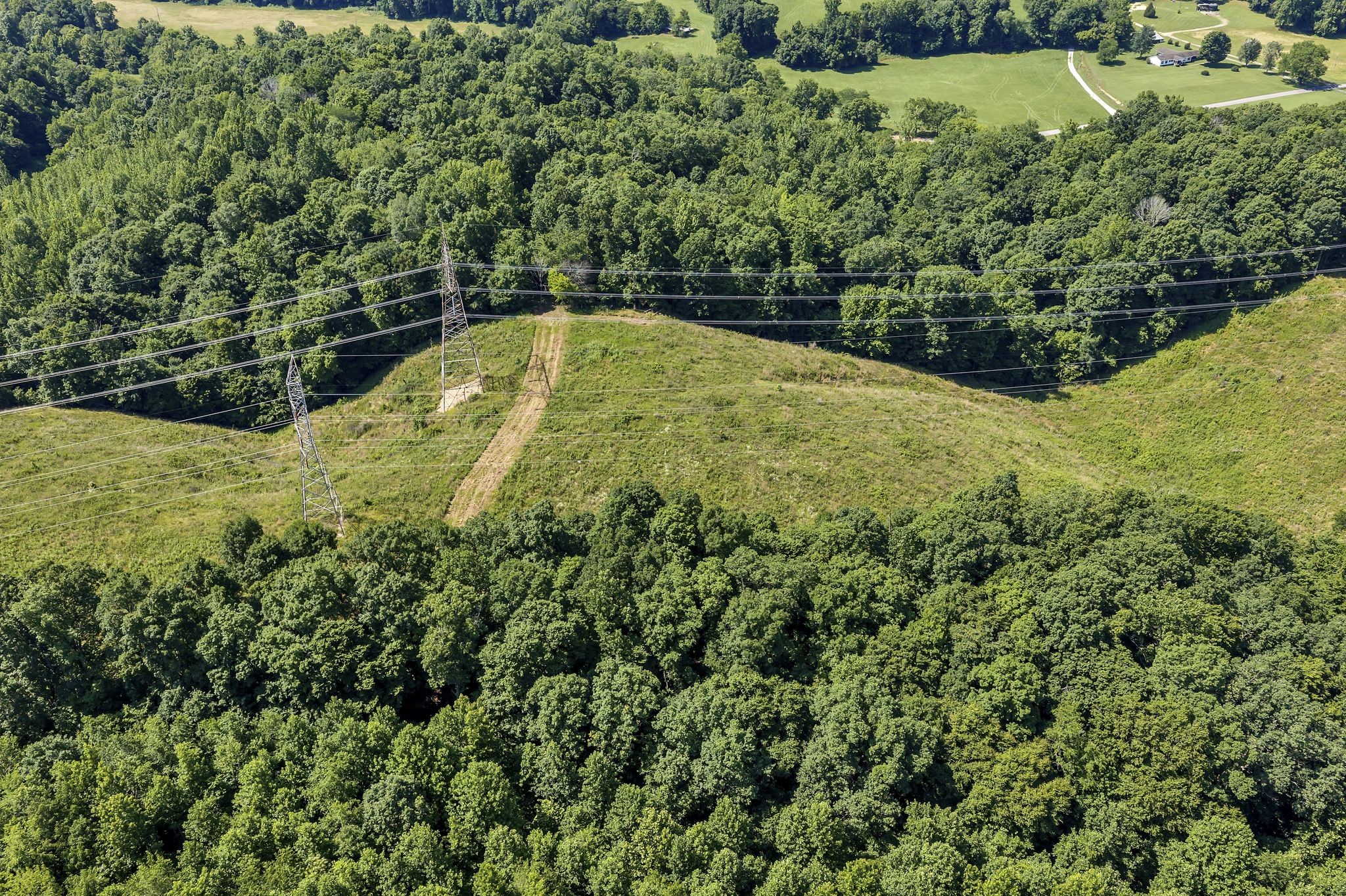 0 East Blue Creek Road McEwen, TN 37101 - Photo 4 of 17