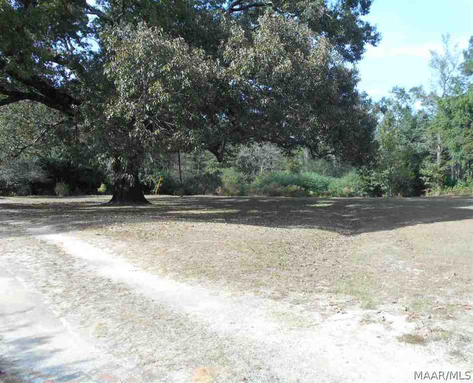 1134 Lakeview Road Ozark, AL 36360 - Photo 36 of 36 Right front yard