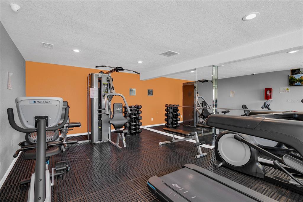 209 Red Cedar Place, Unit 209 Brandon, FL 33510 - Photo 41 of 56 a room with gym equipment and a mirror