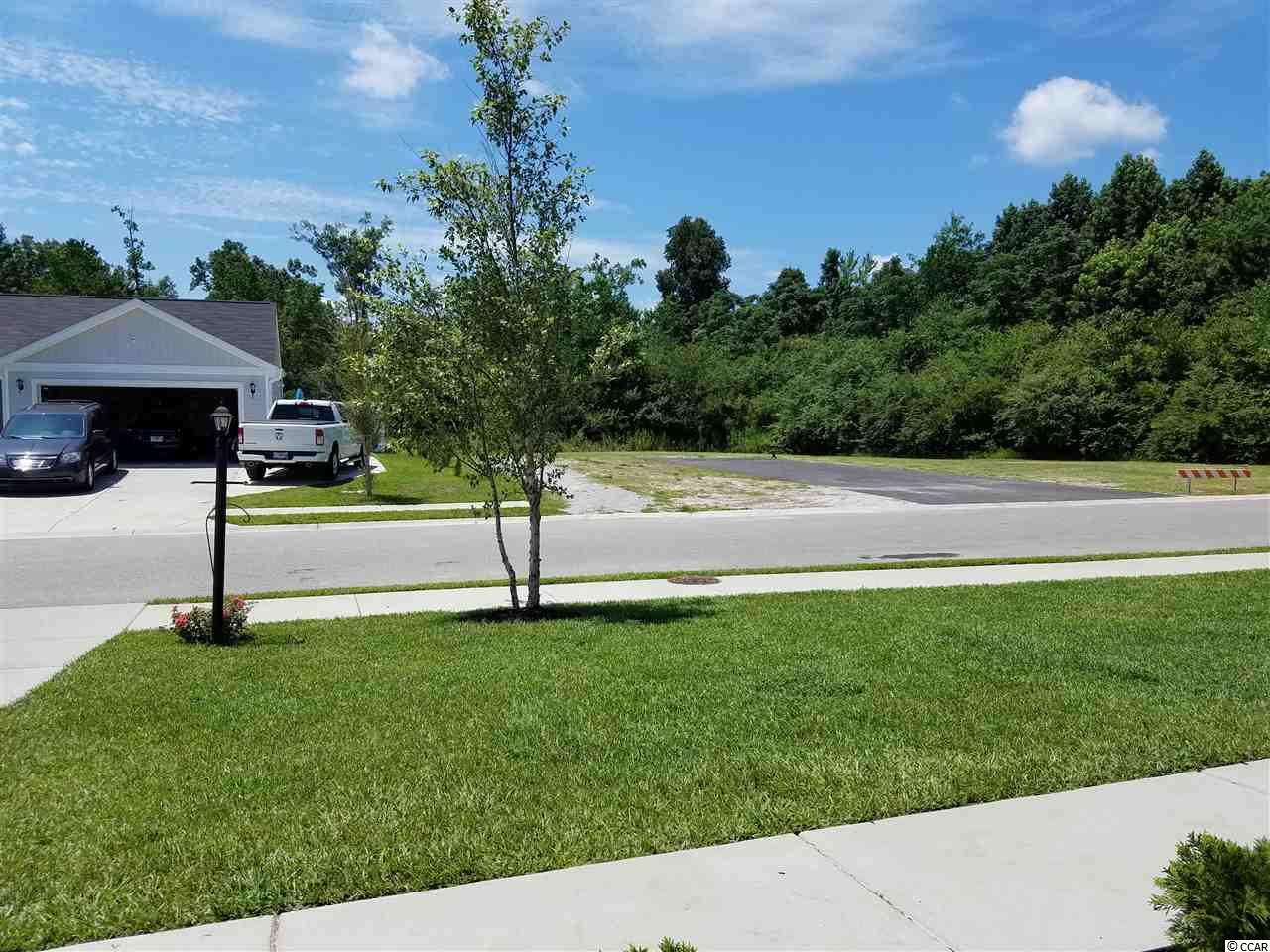 1506 Leatherman Road Conway, SC 29527 - Photo 18 of 19 Gallery Image 18