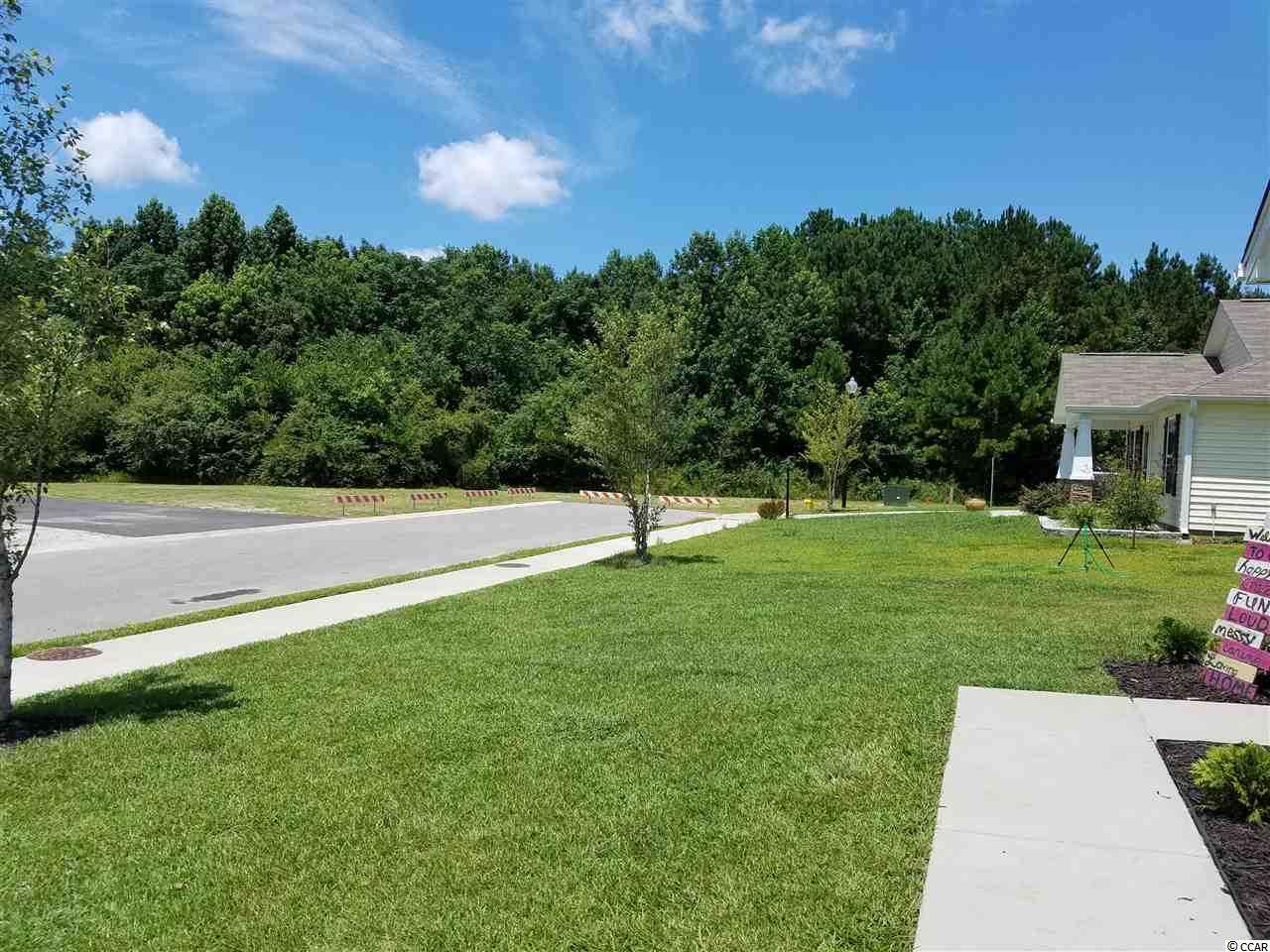 1506 Leatherman Road Conway, SC 29527 - Photo 19 of 19 Gallery Image 19