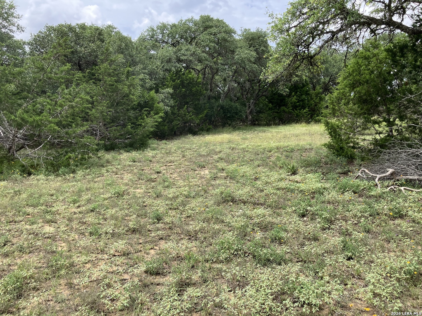 14 Rust Lane Boerne, TX 78006 - Photo 35 of 39 Gallery Image 35