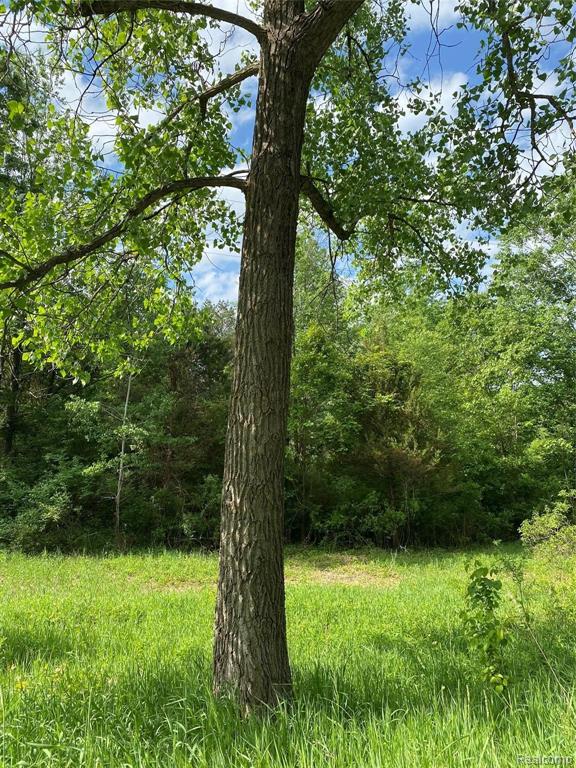 0 Kaiser Road Gregory, MI 48137 - Photo 6 of 29