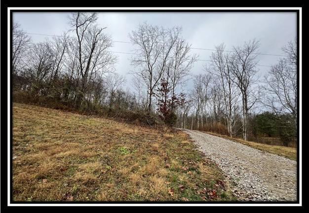 35769 Buck Run Road, Unit TRACT 4) Langsville, OH 45741 - Photo 16 of 29 image016