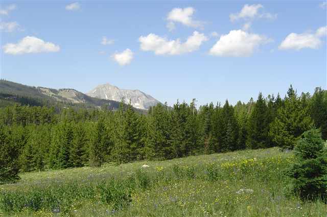 6 Middle Rider Big Sky, MT 59716 - Photo 1 of 1 Gallery Image 1