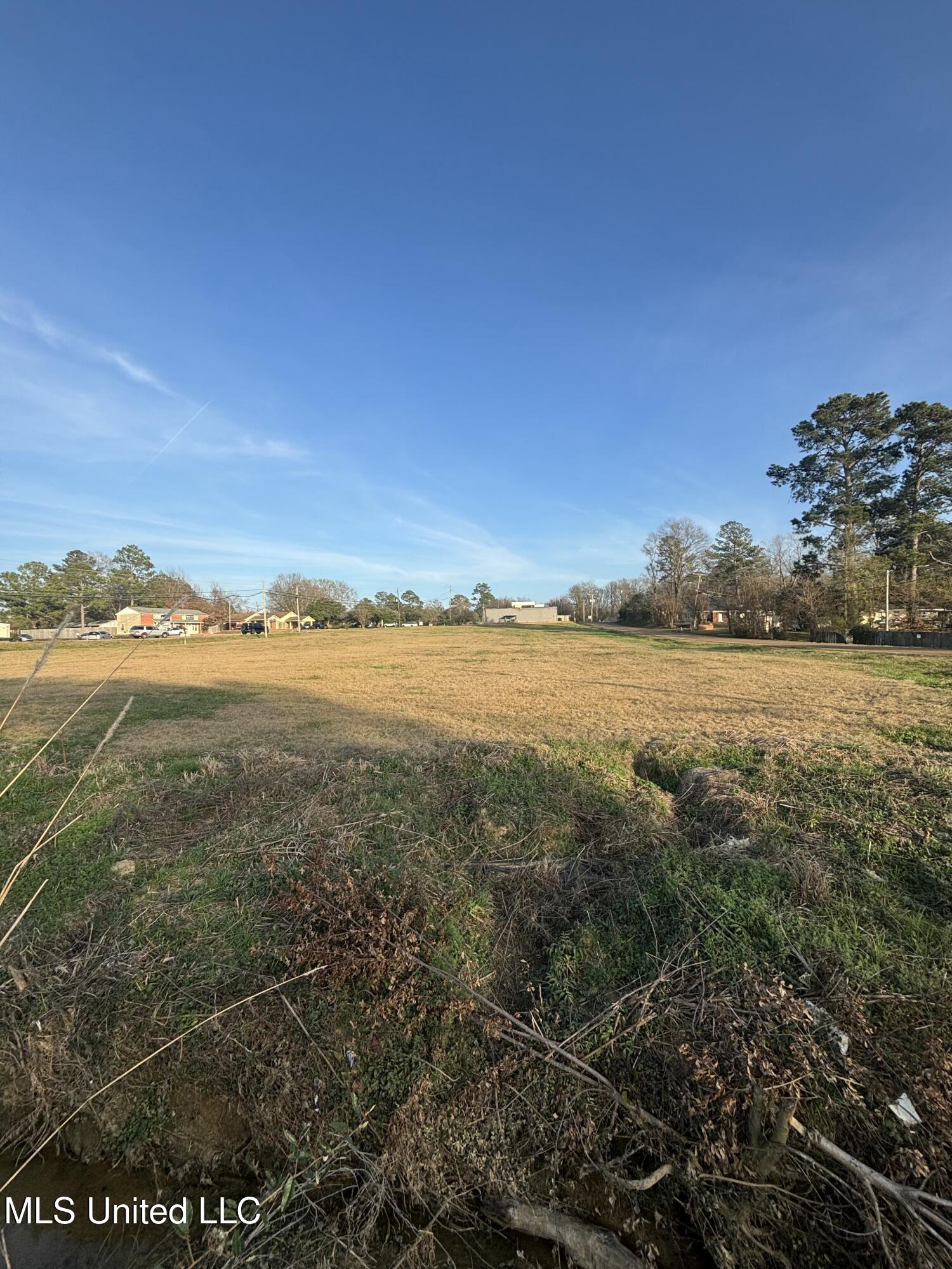 0 Clinton Parkway Clinton, MS 39056 - Photo 2 of 6 IMG_2259