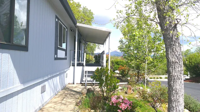 a view of a pathway of a house with a tree
