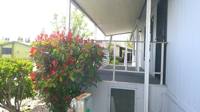 a house view with a garden space