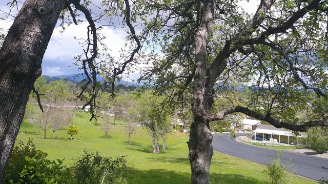 a view of an outdoor space