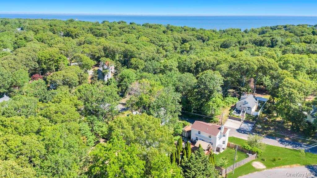 14 Cherry Road Rocky Point, NY 11778 - Photo 6 of 39