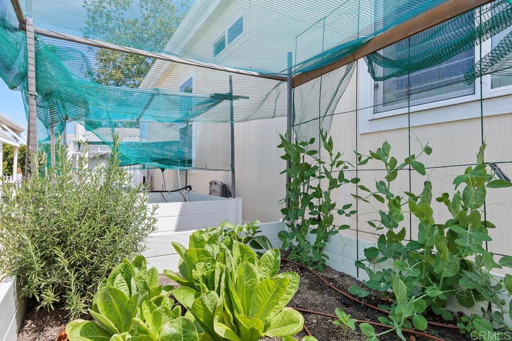 5144 Don Ricardo Drive Carlsbad, CA 92010 - Photo 26 of 34 a garden view