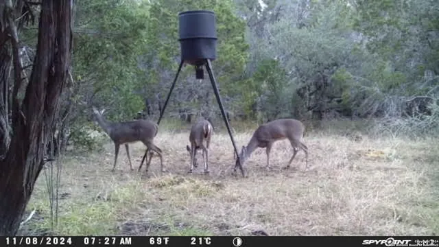 $299,000 | 890 County Road 246, Hondo, TX 78861