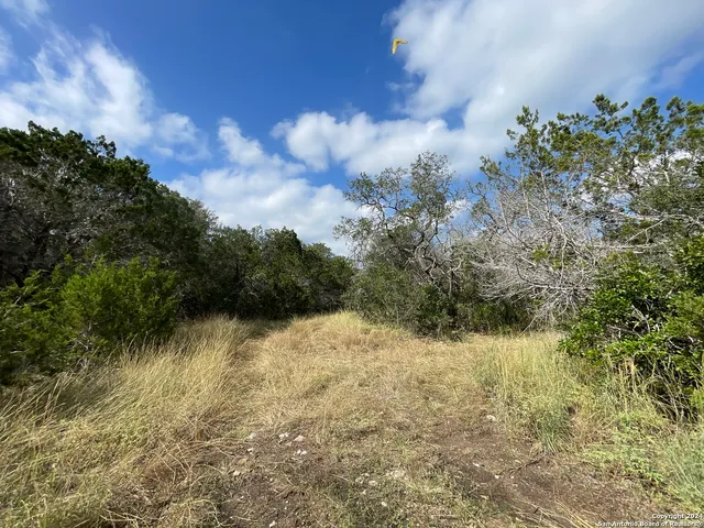 $299,000 | 890 County Road 246, Hondo, TX 78861