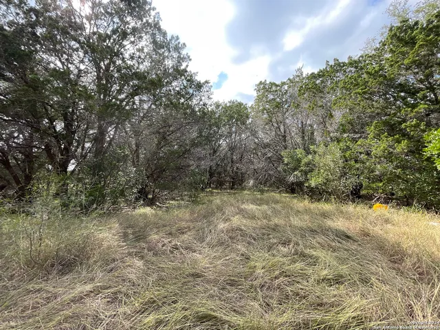 $299,000 | 890 County Road 246, Hondo, TX 78861