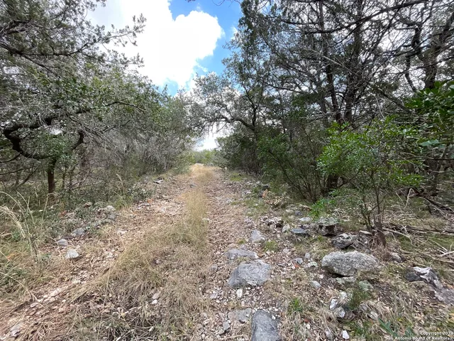 $299,000 | 890 County Road 246, Hondo, TX 78861