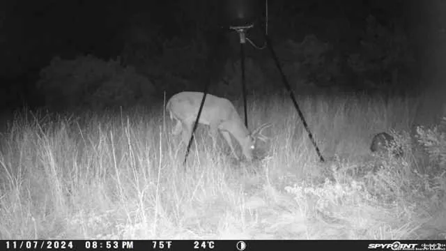 $299,000 | 890 County Road 246, Hondo, TX 78861