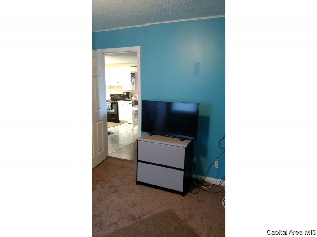 2817 South 15th Street Springfield, IL 62703 - Photo 8 of 10