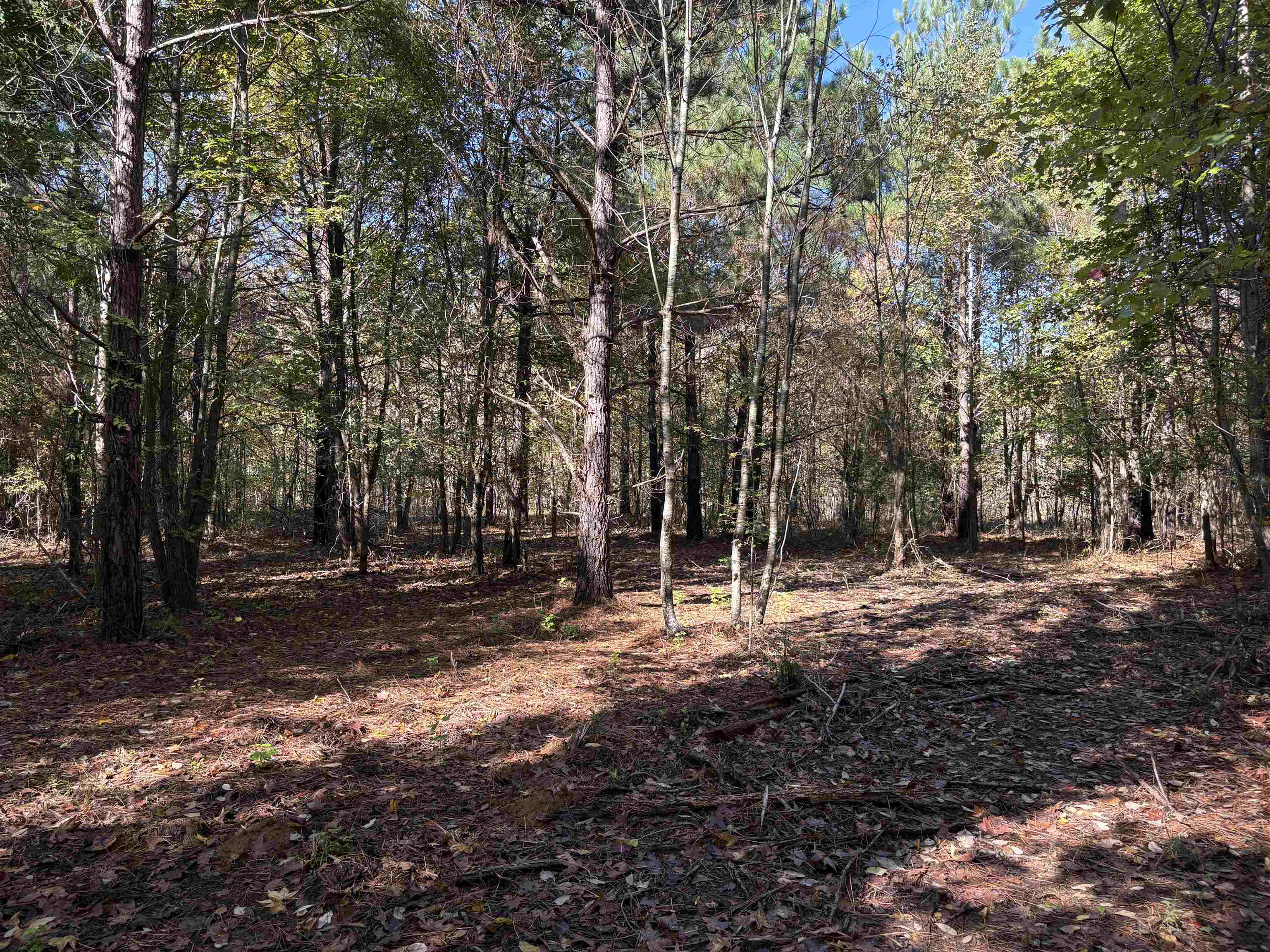 0 Bethuel Road, Unit 14 Millington, TN 38053 - Photo 8 of 14
