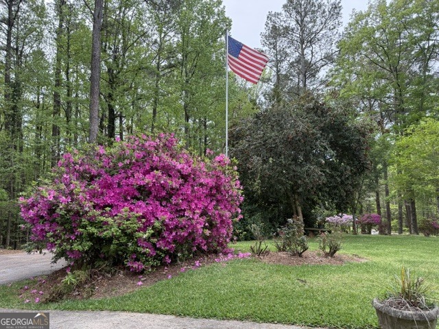 717 Tyrone Road Tyrone, GA 30290 - Photo 2 of 58