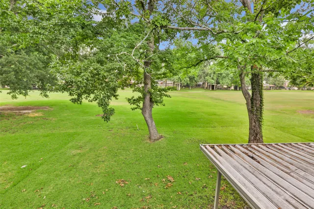 a view of a backyard with large trees
