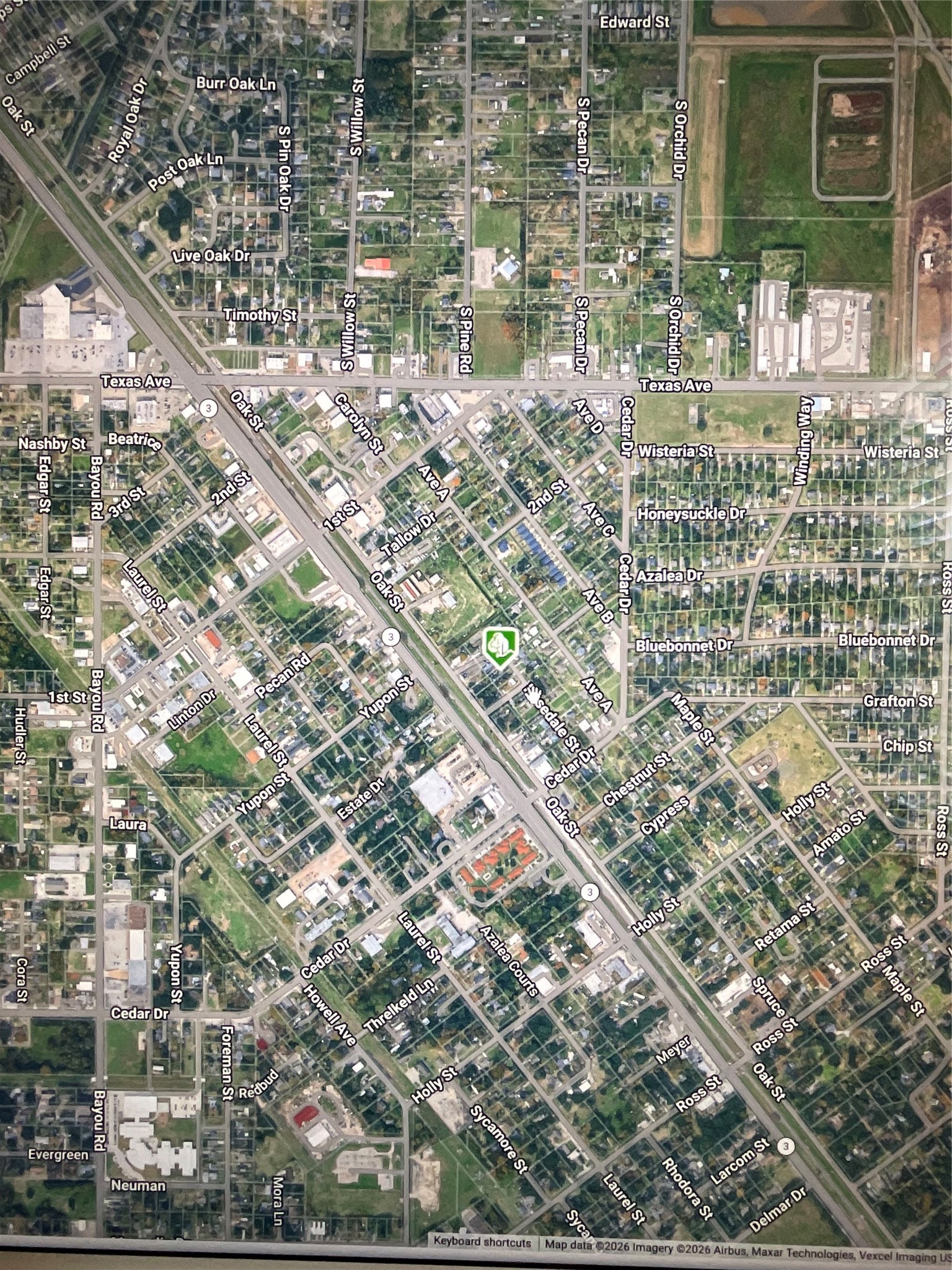 0 Rosedale Street La Marque, TX 77568 - Photo 9 of 10 a picture of a tree