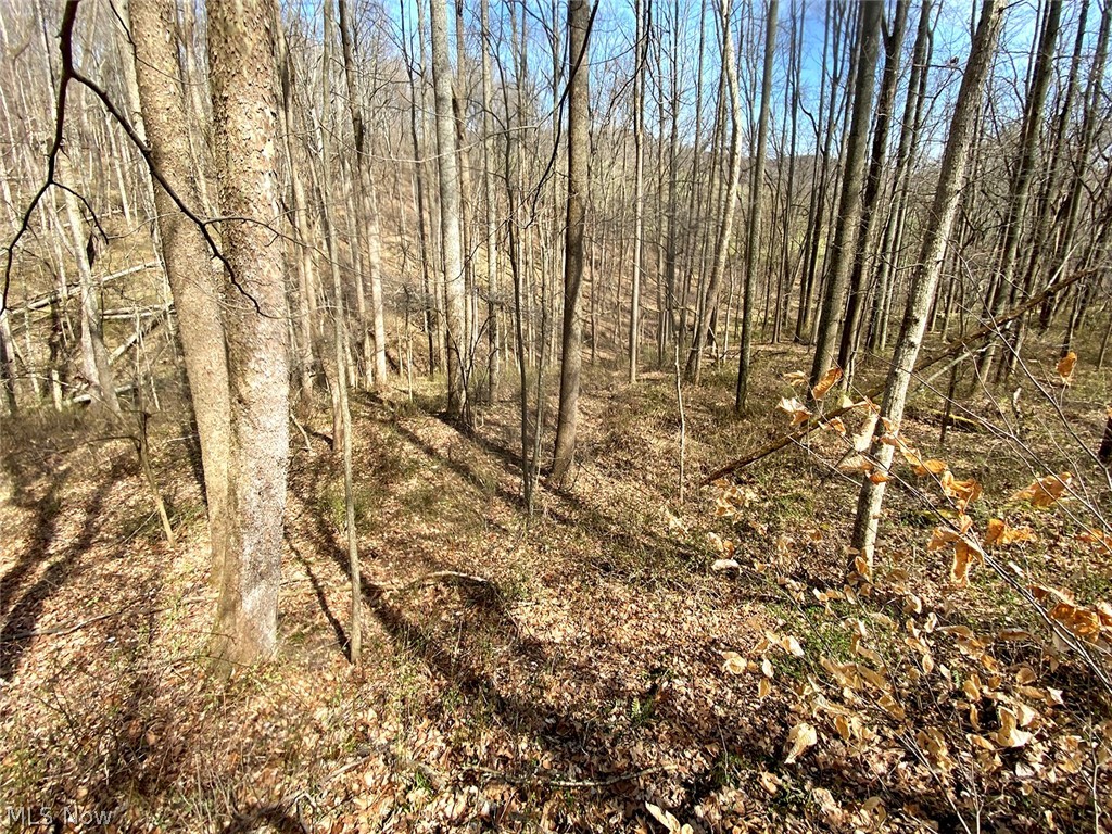 0 Township Road Coshocton, OH 43812 - Photo 16 of 24